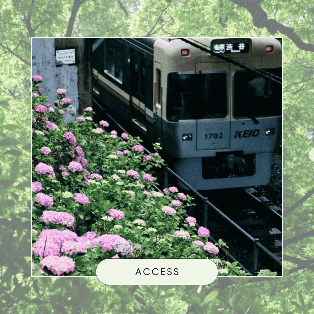 ACCESS